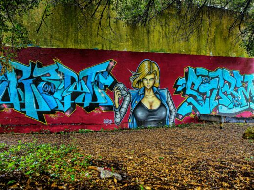 Photographie de tags et street art dans les Alpes-Maritimes : capturer l'art urbain